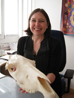Britt Starkovich